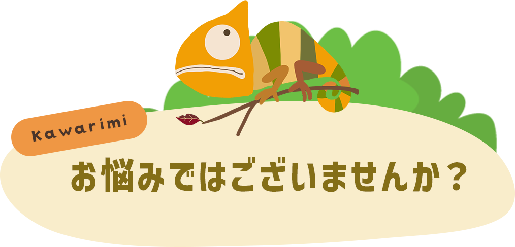 お悩みではございませんか?